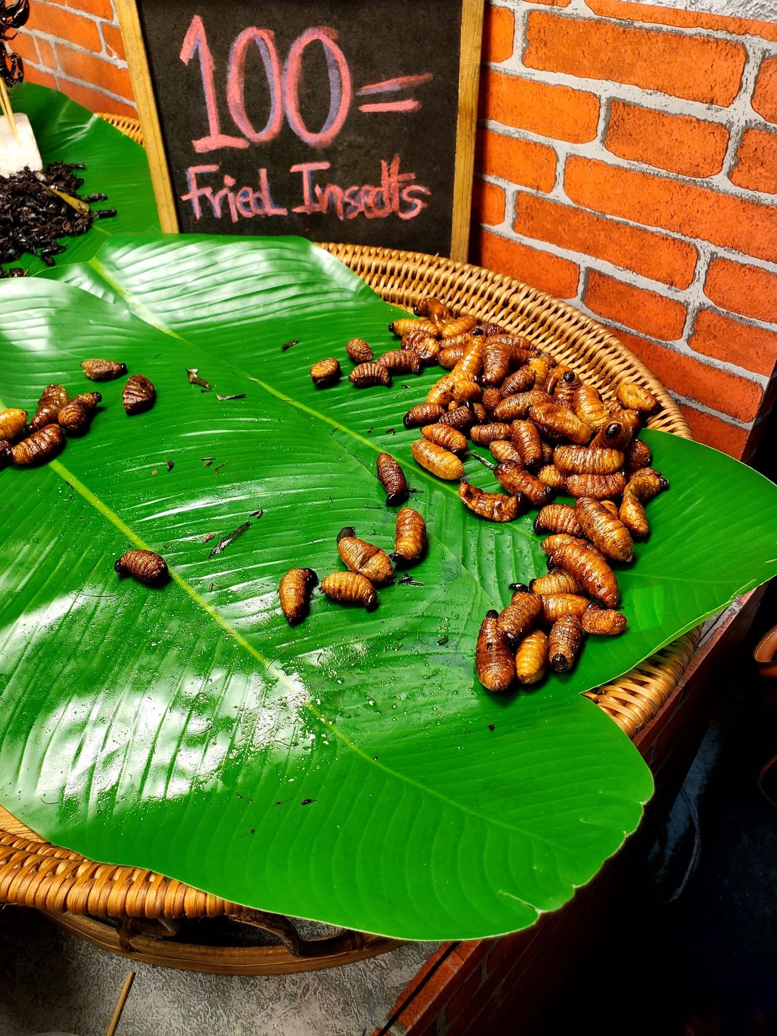 Fried insects — the menu was adventurous