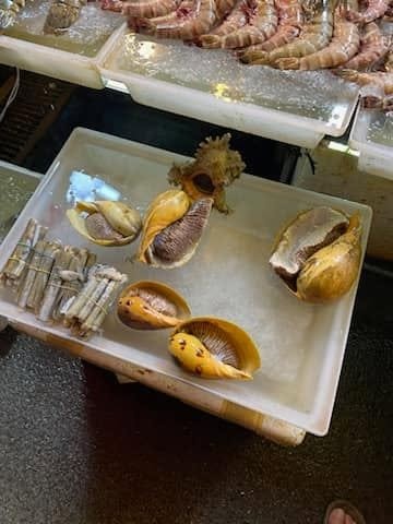 Exotic shellfish on display — Thailand seafood market