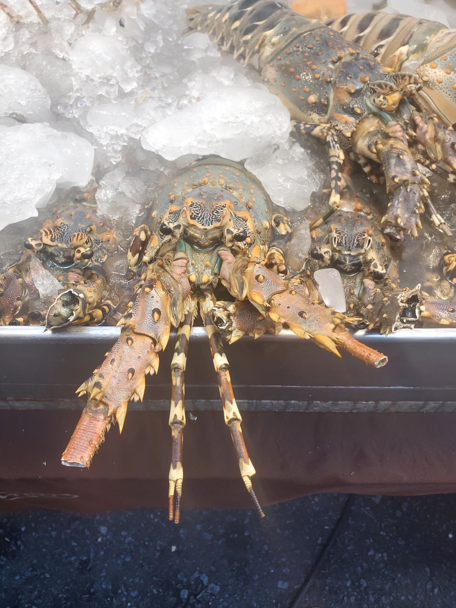 Lobsters on ice at the Thailand seafood market