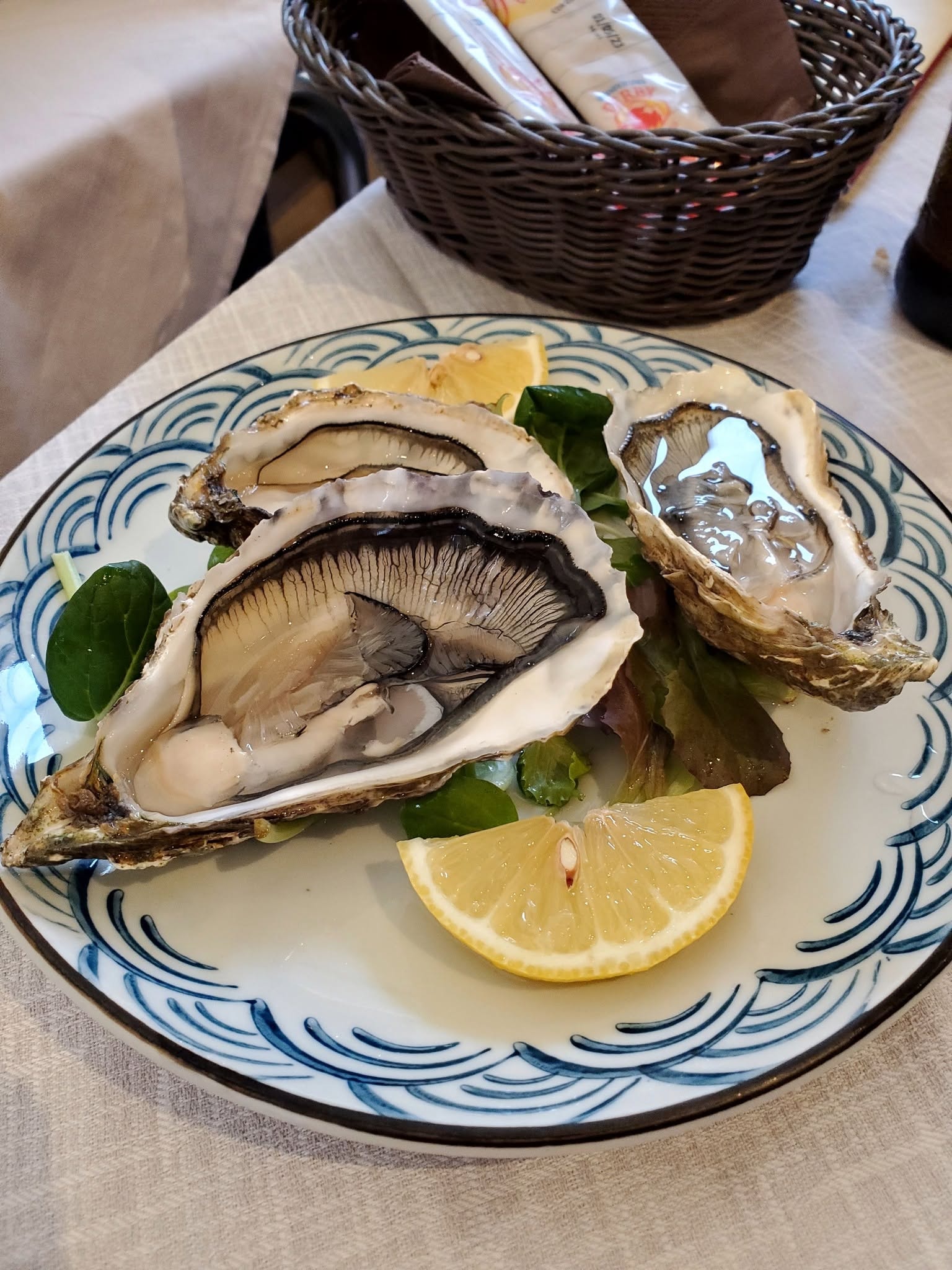 Fresh oysters with lemon — Thailand
