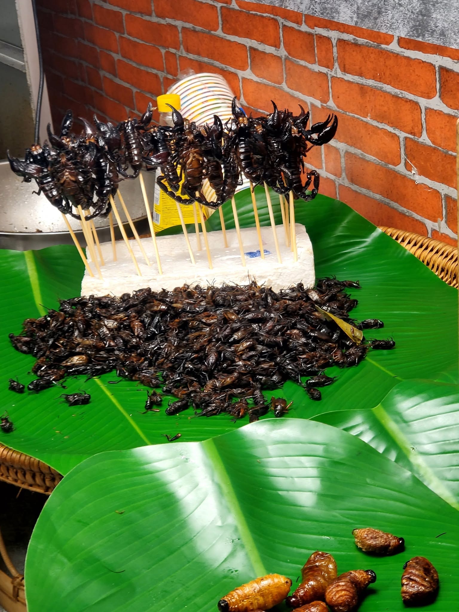 Scorpions and larvae on skewers — Thailand street market